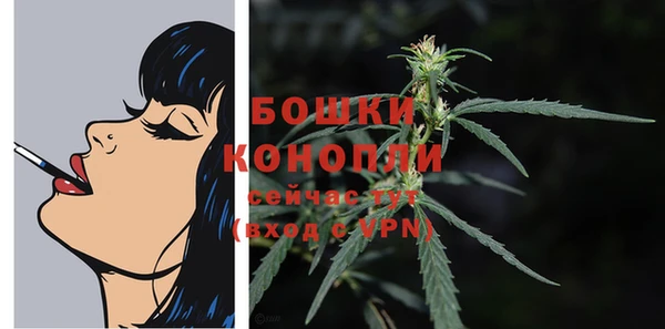 спайс Каменка
