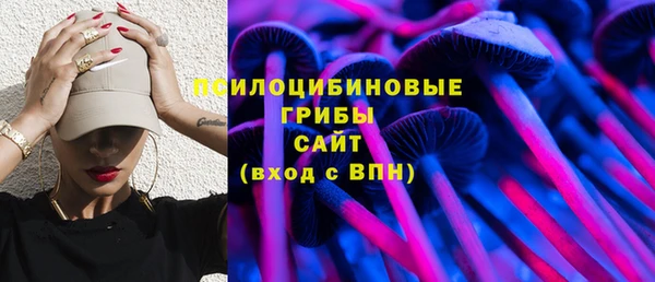 меф Каменск-Шахтинский