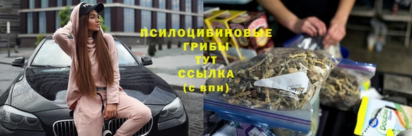 спайс Каменка